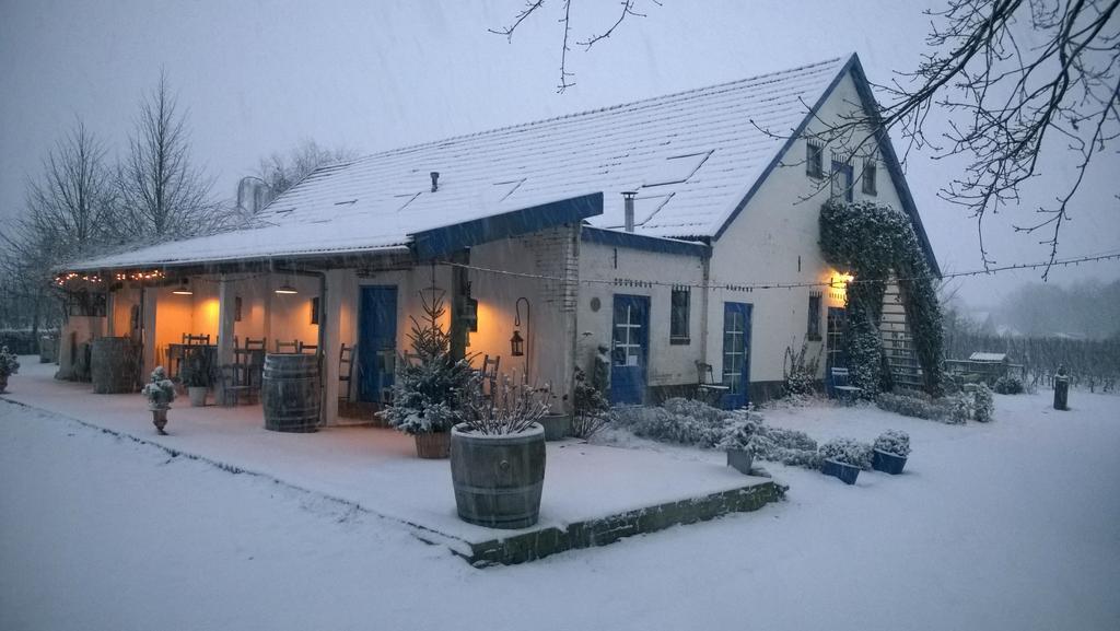 Bed and Breakfast Wijnstaete Lemelerveld Zewnętrze zdjęcie